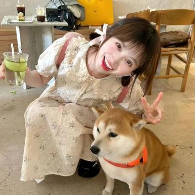 动物频道